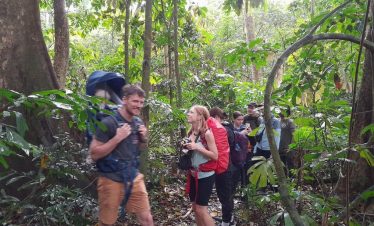 From Ninh Binh Cuc Phuong National Park Guided Tour & Lunch12